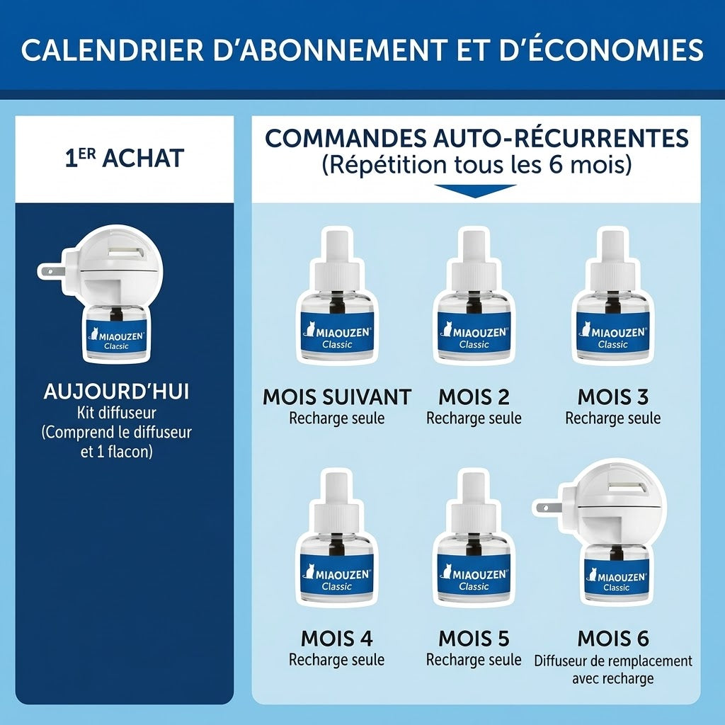 Kit diffuseur classique MIAOUZEN