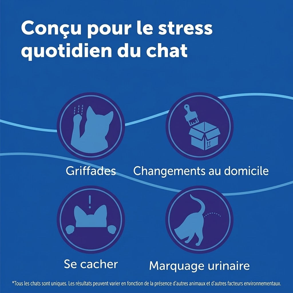 Recharge classique MIAOUZEN