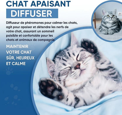 Recharge classique MIAOUZEN