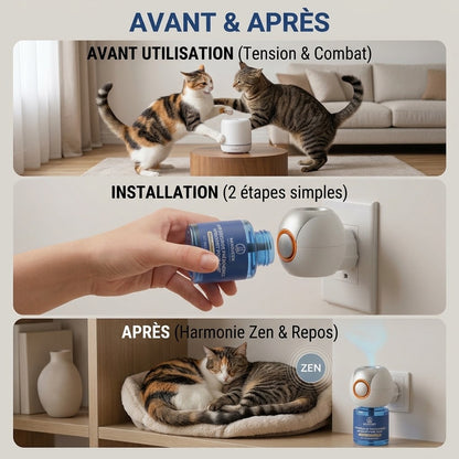Kit diffuseur classique MIAOUZEN