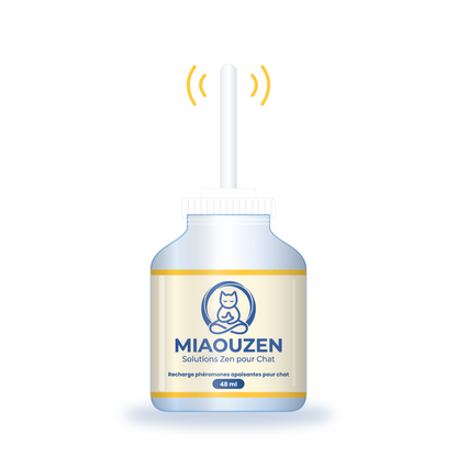 Recharge classique MIAOUZEN