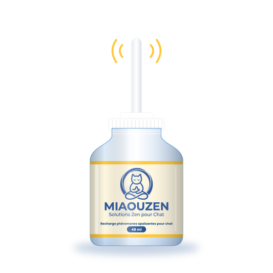 Recharge classique MIAOUZEN